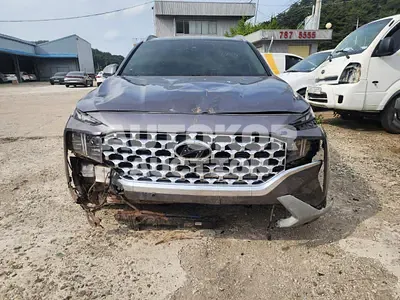 2021, Hyundai / Santa FE, VIN: KMHS381HGMU383391, diesel