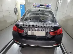2018, BMW / 420, VIN: WBA4H3106JBM44609, 60000 км., gas