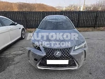 2019, Lexus / ux250h, 99819 км., hybrid