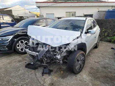 2019, Hyundai / Kona, VIN: KMHK281GFKU004561, electric