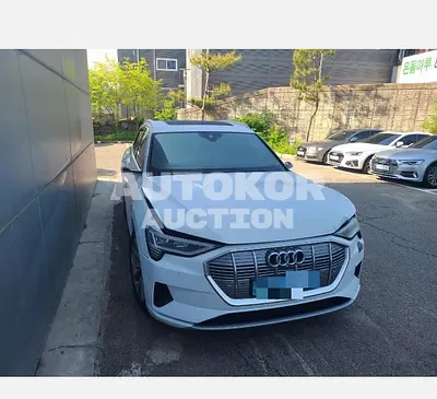 2020, Audi / e-tron, 98123 км., electric