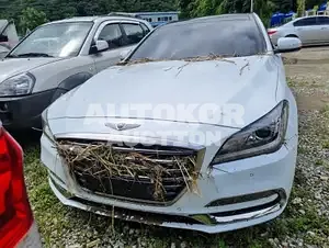 2017, Genesis / G80, VIN: KMHGL41DBJU253210, gas, 3342 куб.см.
