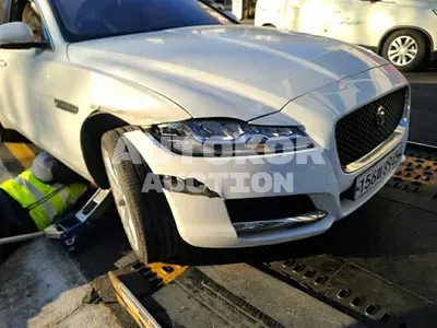 2019, Jaguar / XF, VIN: SAJBB4BN1KCY74556, diesel