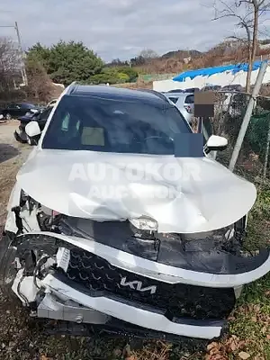 2021, Kia / Sorento, VIN: KNARH81BGMA053240, 65000 км., diesel, 2151 куб.см.