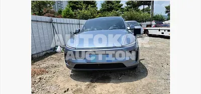 2025, Tesla / Model Y, electric, 180 куб.см.