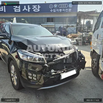 2017, Kia / Sorento, VIN: KNAPH81ABHA295830, diesel