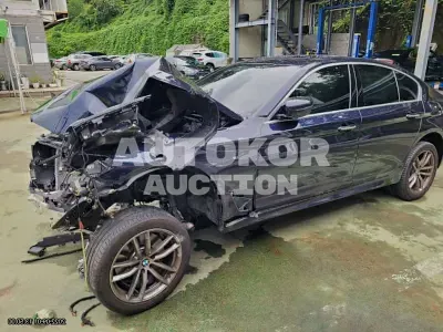 2018, BMW / 530, VIN: WBAJD3107JB316099, 13100 км., gas