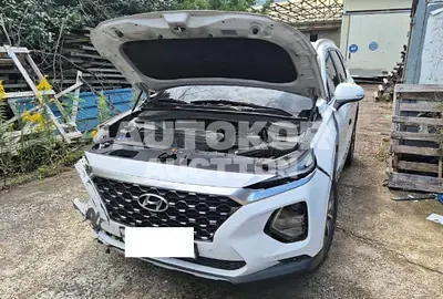 2020, Hyundai / Santa FE, VIN: KMHS281BBLU244357, 210612 км., diesel, 2000 куб.см.