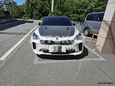 2019, Kia / Stinger, 100000 км., gas