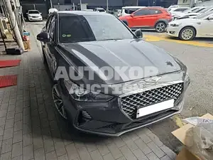 2019, Genesis / G70, VIN: KMTG341ABKU040956, gas