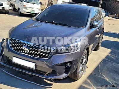 2019, Kia / Sorento, VIN: KNAPF81BBKA480706, diesel