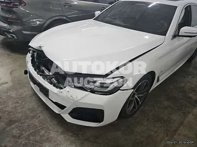 2022, BMW / 520, 67906 км., gas