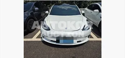 2020, Tesla / Model 3, VIN: 5YJ3E1EB9LF774185, 106166 км., electric, 225 куб.см.
