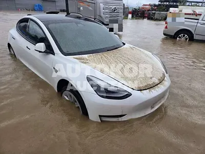 2022, Tesla / Model 3, electric