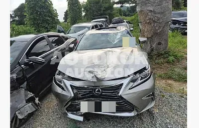 2016, Lexus / ES 300, 113237 км., hybrid, 2494 куб.см.