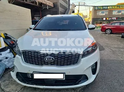 2019, Kia / Sorento, VIN: KNAPS81ABKA475415, diesel