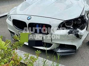 2016, BMW / 520, VIN: WBA5E7103GG566098, 64298 км., diesel, 1995 куб.см.