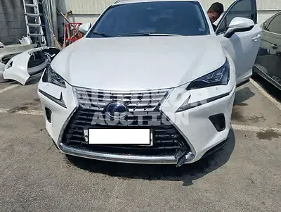 2020, Lexus / NX 300, VIN: JTJHJRDZ8L5000796, 32994 км., hybrid