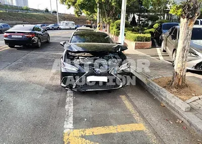 2021, Lexus / ES 300, VIN: JTHBA1C1XM2005215, 25000 км., hybrid