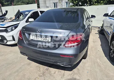 2020, Mercedes-Benz / e250, VIN: W1K2130451A819219, 46111 км., gas