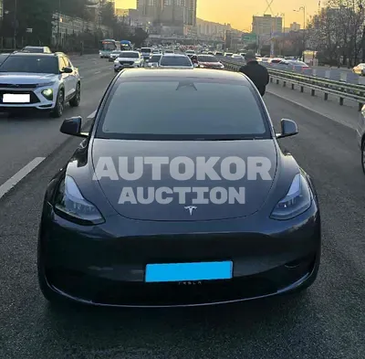 2024, Tesla / Model Y, VIN: LRWYGCFS7RC425085, 18016 км., electric