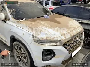 2019, Hyundai / Santa FE, VIN: KMHS381BBKU163728, diesel