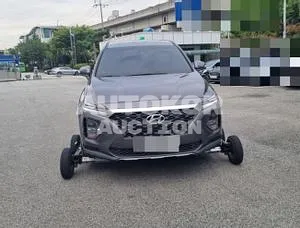 2019, Hyundai / Santa FE, VIN: KMHS281ABLU196913, 10983 км., gas
