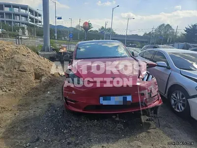 2021, Tesla / Model Y, 132070 км., electric