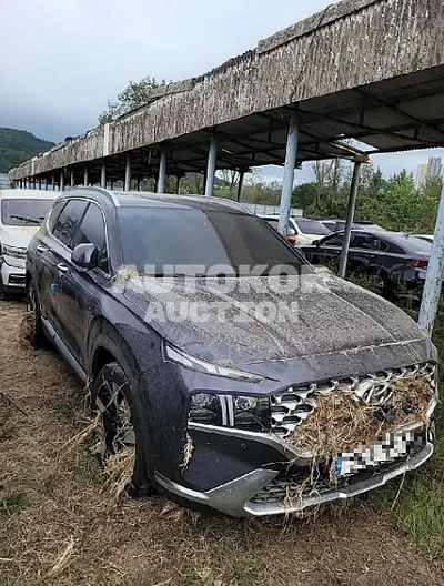 2021, Hyundai / Santa FE, VIN: KMHS381LGMU352198, gas
