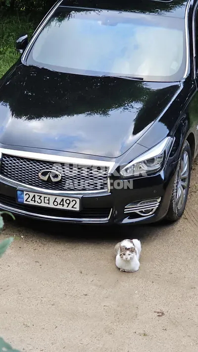 2017, Infiniti / Q70, VIN: JNKBY11E1HM600031, 210000 км., gas, 3700 куб.см.