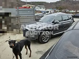 2020, Hyundai / Santa FE, VIN: KMHS281ABLU296695, gas