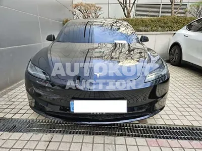 2024, Tesla / Model 3, VIN: LRW3E7F58RC253110, 20294 км., electric