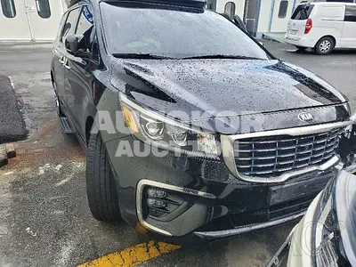 2020, Kia / Carnival, VIN: KNAME81ABLS654300, diesel