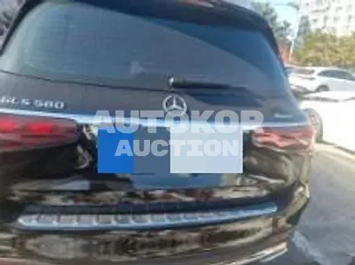 2024, Mercedes-Benz / GLS 580, VIN: W1NFF8FE5RB093568, 18500 км., gas