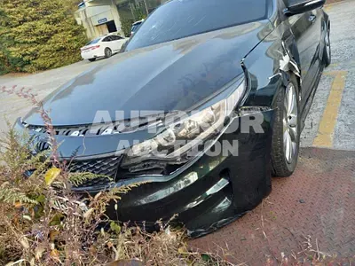2016, Kia / K5, VIN: KNAGU411BGA061390, gas