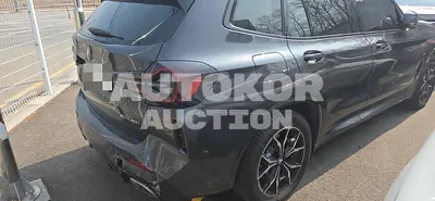 2024, BMW / X3, 21202 км., gas, 1998 куб.см.