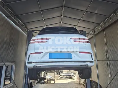 2025, Hyundai / Genesis, 8294 км., electric
