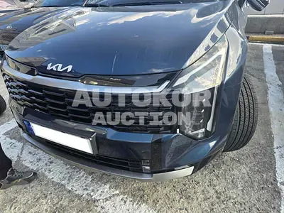2025, Kia / Sportage, VIN: KNAPX81GBSK276722, hybrid, 1598 куб.см.