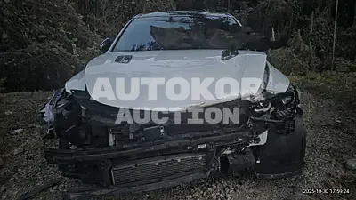 2017, Kia / Stinger, 204110 км., gas, 3300 куб.см.