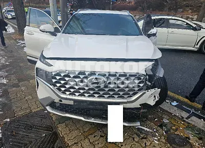 2021, Hyundai / Santa FE, VIN: KMHS381HGMU317770, diesel