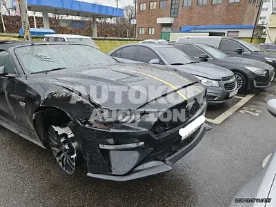 2019, Ford / Mustang GT, VIN: 1FATP8FF9K5128042, gas