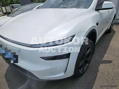 2026, Tesla / Model Y, 8252 км., electric