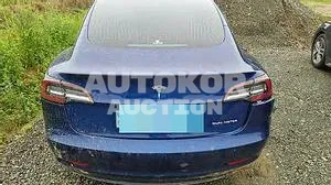 2020, Tesla / Model 3, VIN: 5YJ3E1EB0LF694967, 12955 км., electric, 225 куб.см.