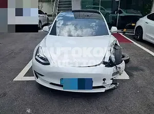 2020, Tesla / Model 3, VIN: 5YJ3E1EB0LF724470, electric, 225 куб.см.