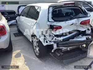 2016, Volkswagen / Golf, VIN: WVWZZZAUZGW096794, diesel