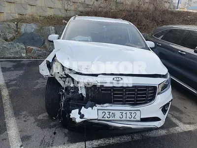 2019, Kia / Carnival, VIN: KNAMB81ABKS556683, 227119 км., diesel