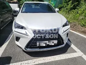 2021, Lexus / NX 300, 19037 км., hybrid, 2494 куб.см.