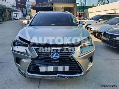 2018, Lexus / NX 300, 112596 км., hybrid