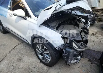 2020, Hyundai / Santa FE, VIN: KMHS281BBLU187798, diesel