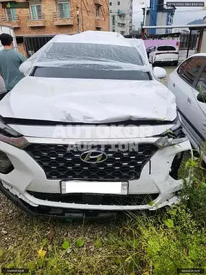 2019, Hyundai / Santa FE, VIN: KMHS381BBKU171201, diesel